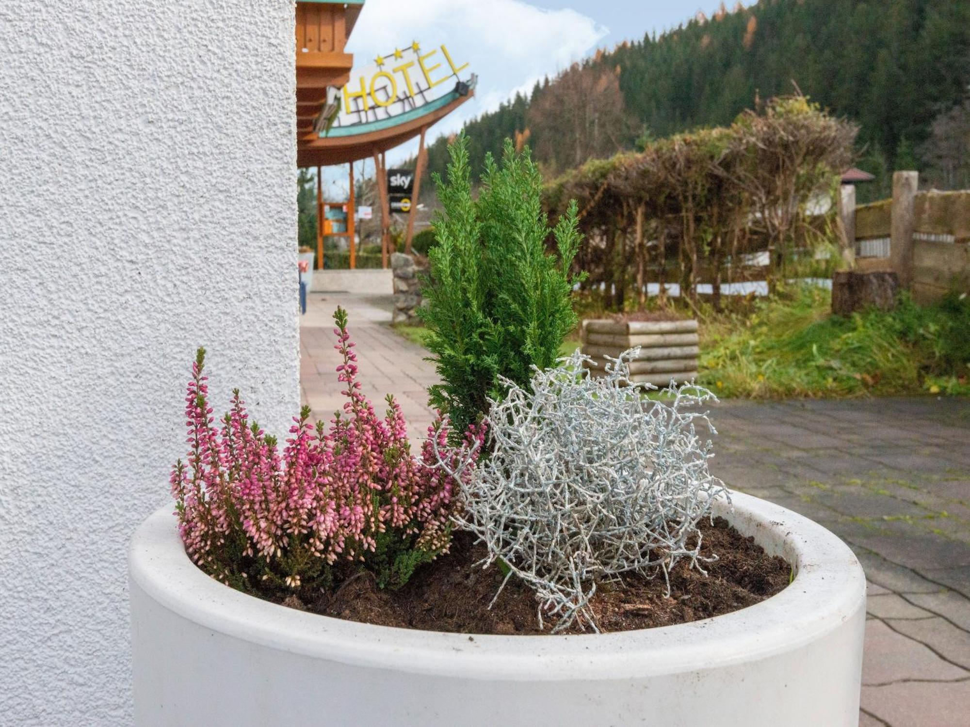 Lovely Apartment With Sauna Ski Storage Pool Terrace Wald im Pinzgau Exteriör bild