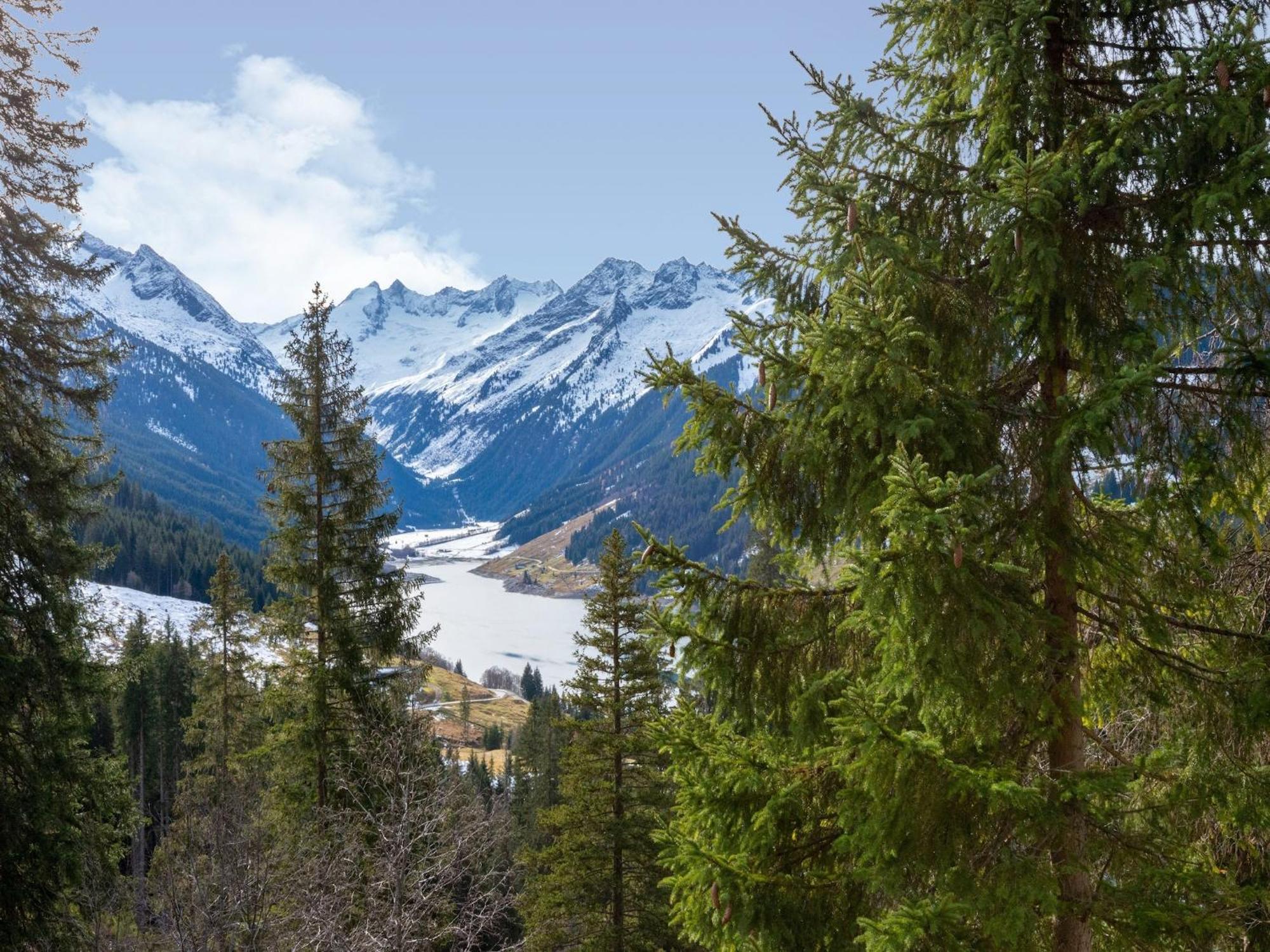 Lovely Apartment With Sauna Ski Storage Pool Terrace Wald im Pinzgau Exteriör bild